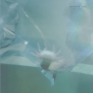 亚洲尿pisssex撒尿
